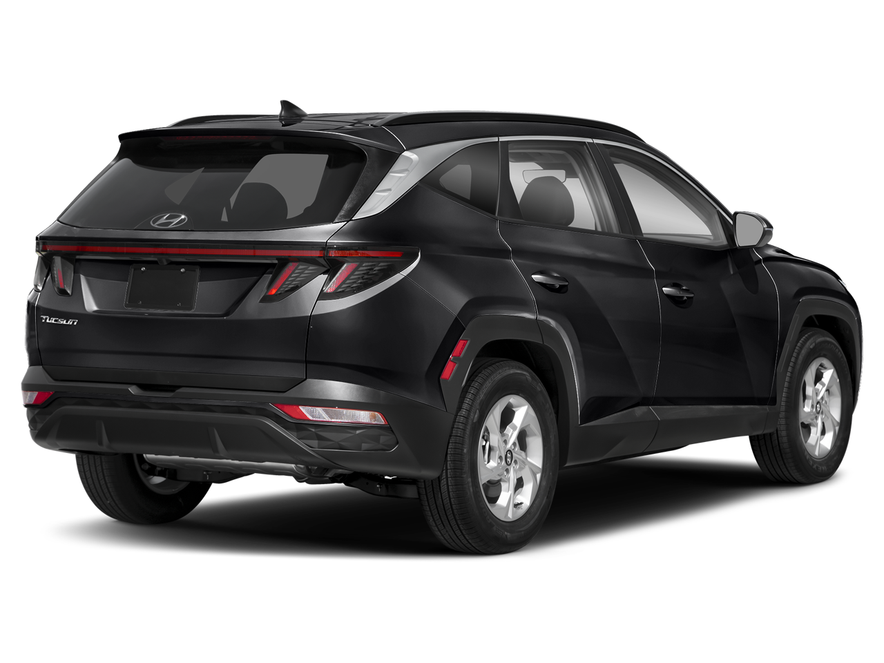 5NMJFCAE0PH275313