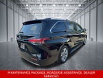 2023 Toyota Sienna Platinum 7 Passenger