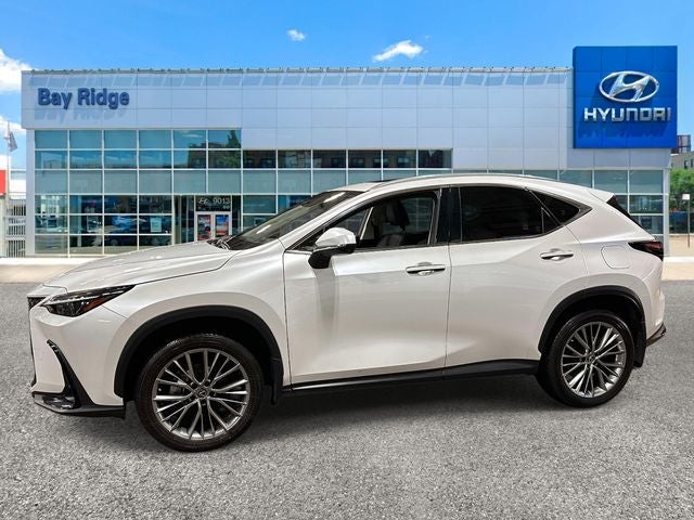2023 Lexus NX 350h Premium