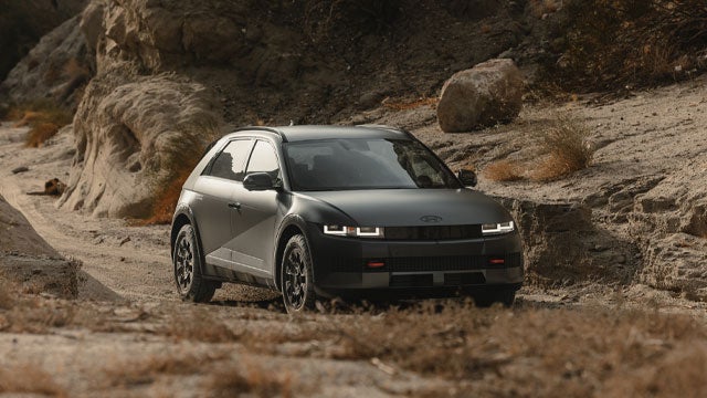 Terrain | Hyundai City of Bay Ridge in Brooklyn NY