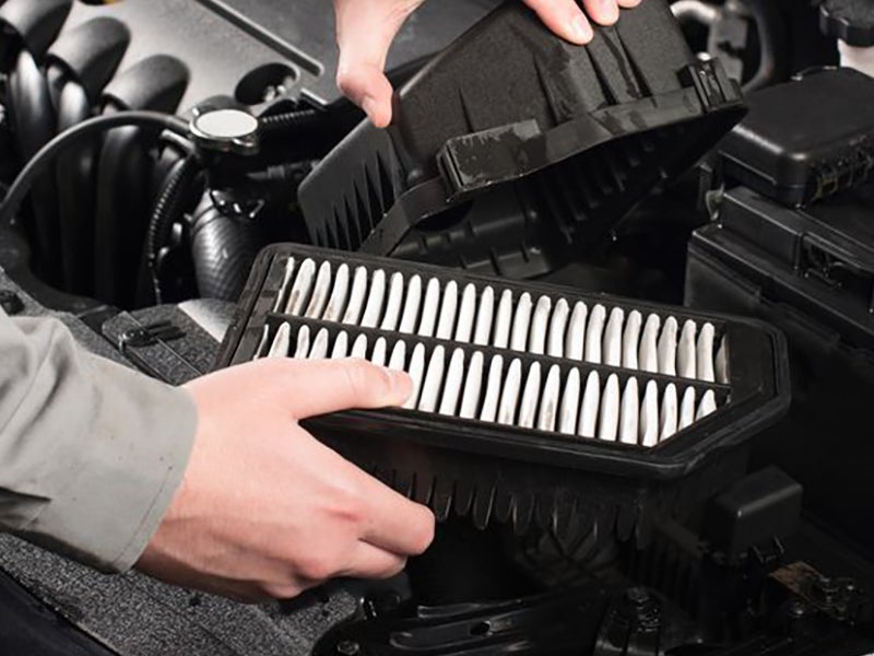 Cabin & Engine Air Filters